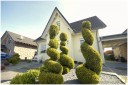 Immoprofi Karl - Wassenberg: Freistehendes Einfamilienhaus mit Keller in bester Lage