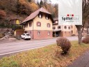 Einfamilienhaus fr die groe Familie in Schiltach-Hinterlehengericht