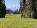 Landwirtschaftliche Grundstcke Wiese & Wald (Ausgleichsflchen) 3 Hektar in Oberstaufen / Allgu