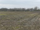 1,8 ha Ackerland in Godensholterfeld zu verkaufen!