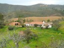 Farm Algarve,with 15ha of land